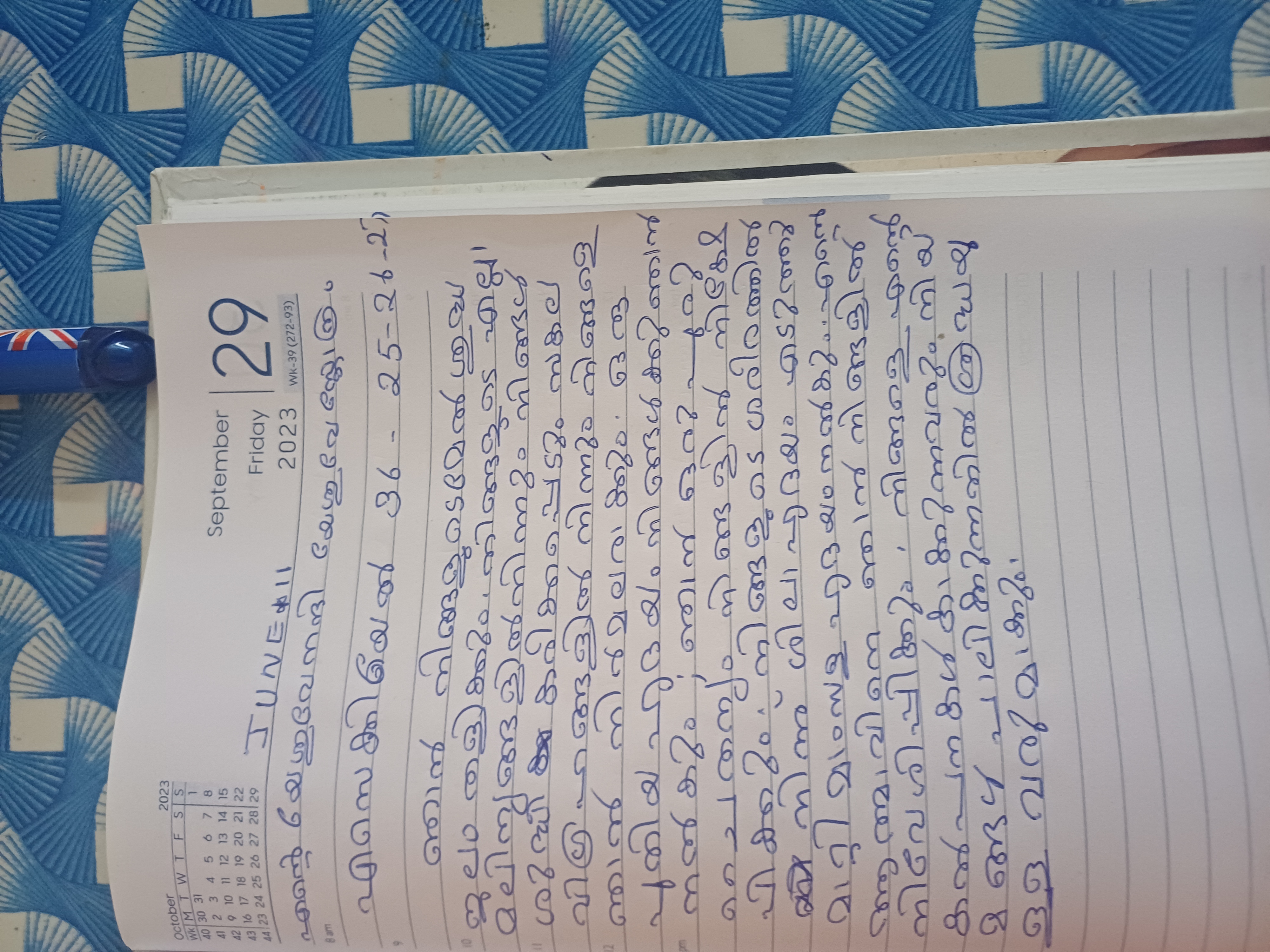 Diary photo for June 11, 2025